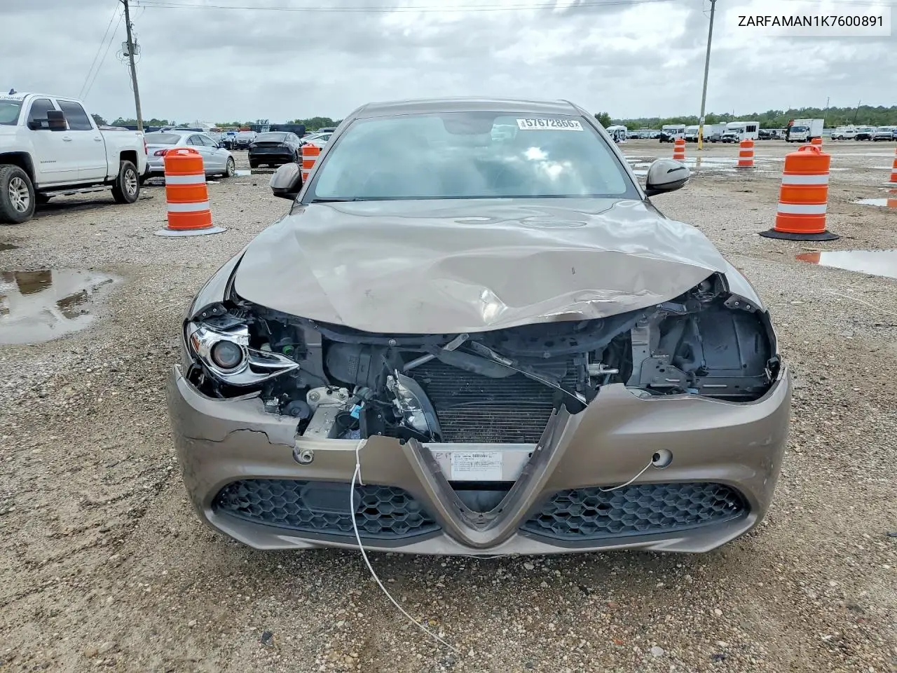 2019 Alfa Romeo Giulia VIN: ZARFAMAN1K7600891 Lot: 57672866