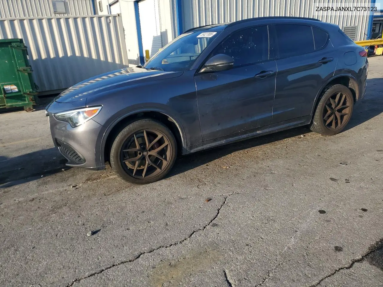 2020 Alfa Romeo Stelvio VIN: ZASPAJANXL7C73123 Lot: 55427806