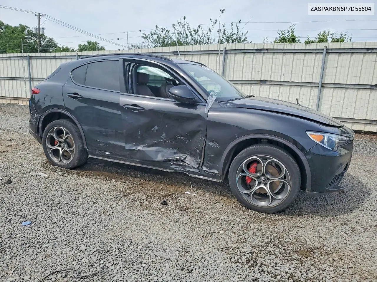 2023 Alfa Romeo Stelvio Ti VIN: ZASPAKBN6P7D55604 Lot: 58065806