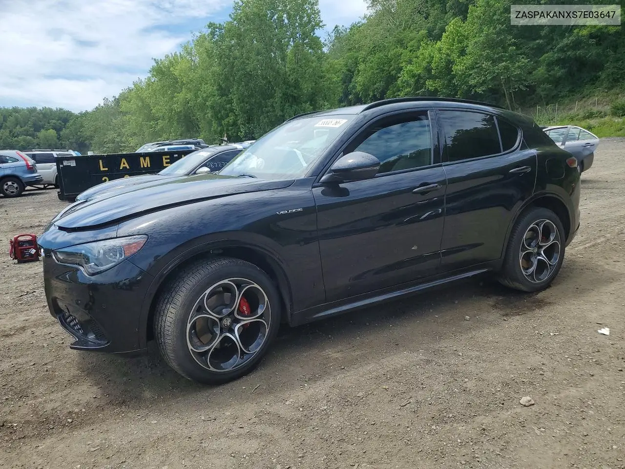 2025 Alfa Romeo Stelvio Base VIN: ZASPAKANXS7E03647 Lot: 58808766