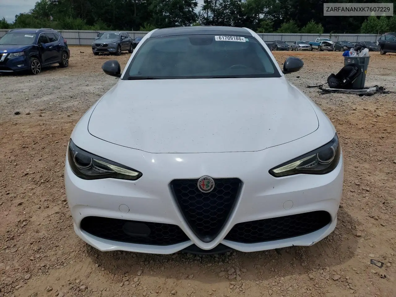 2019 Alfa Romeo Giulia VIN: ZARFANANXK7607229 Lot: 61709186