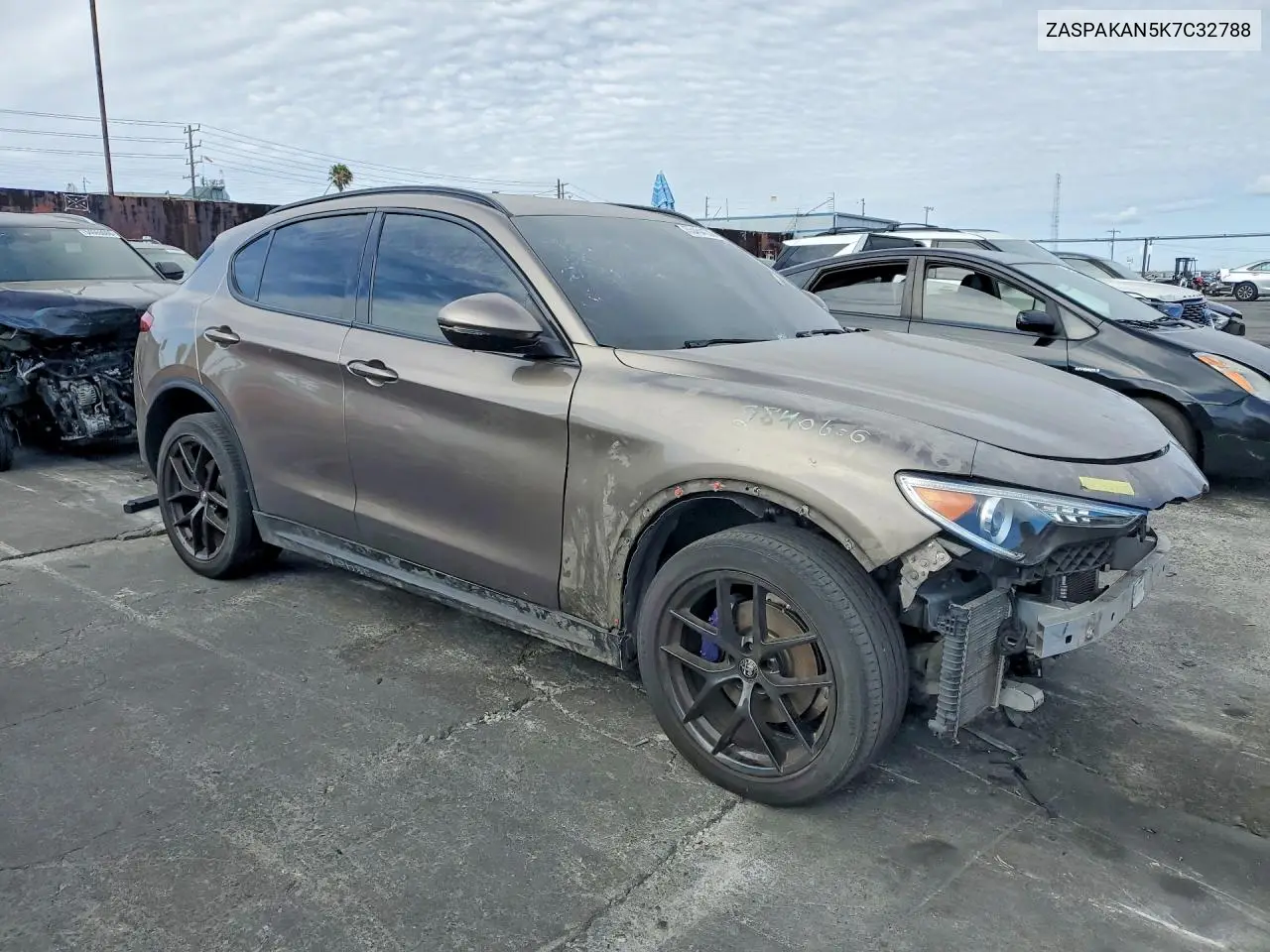 2019 Alfa Romeo Stelvio VIN: ZASPAKAN5K7C32788 Lot: 55454136