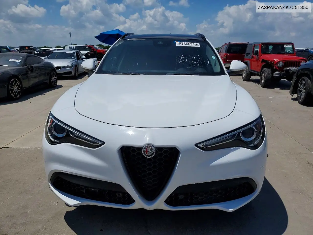 2019 Alfa Romeo Stelvio VIN: ZASPAKAN4K7C51350 Lot: 57656246