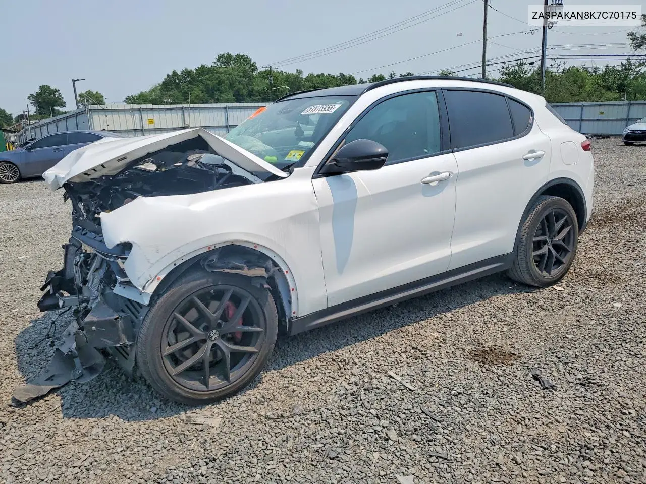 2019 Alfa Romeo Stelvio VIN: ZASPAKAN8K7C70175 Lot: 61075956