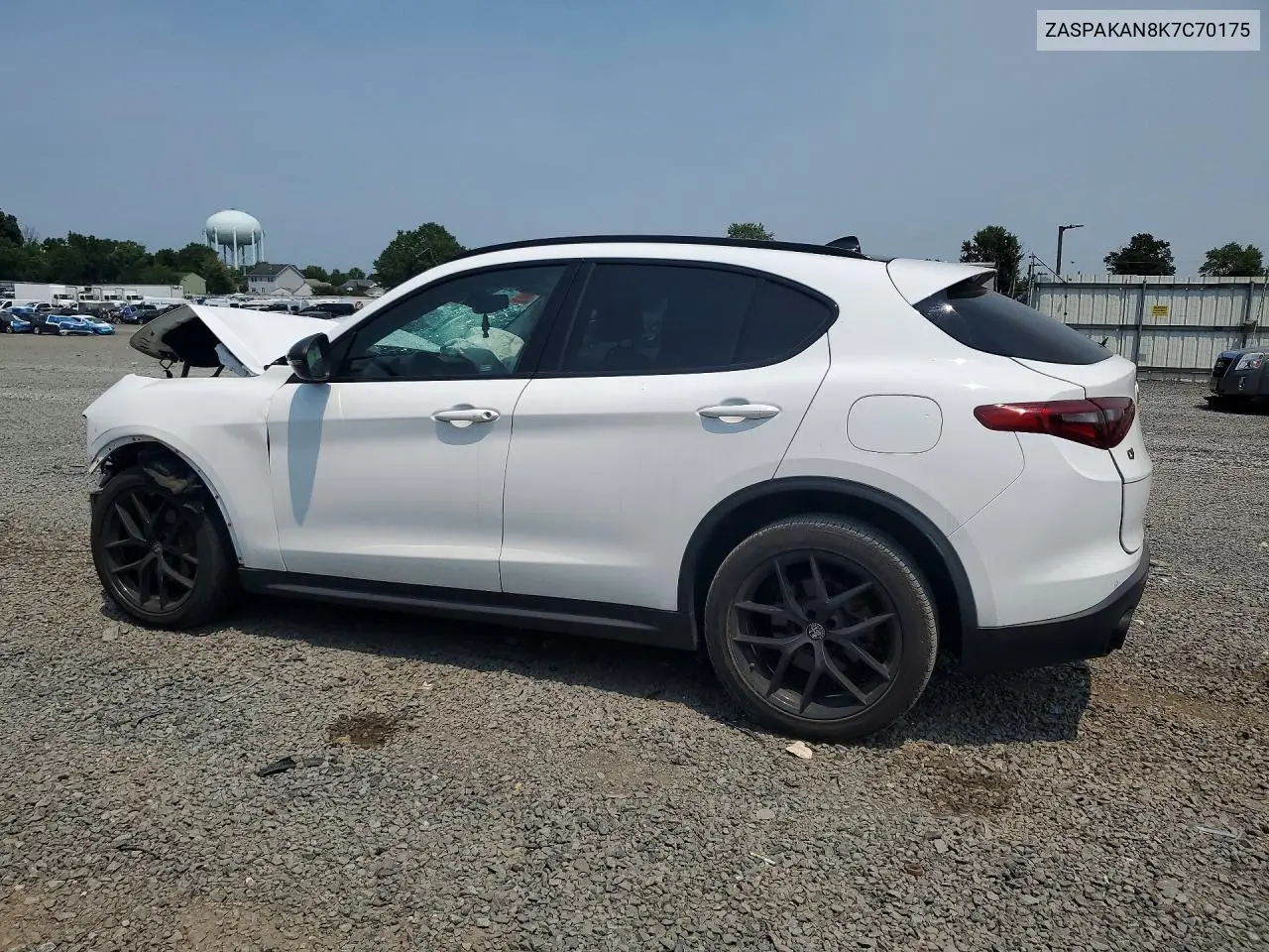 2019 Alfa Romeo Stelvio VIN: ZASPAKAN8K7C70175 Lot: 61075956