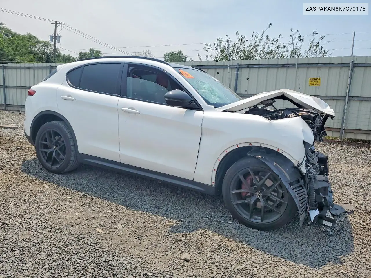 2019 Alfa Romeo Stelvio VIN: ZASPAKAN8K7C70175 Lot: 61075956