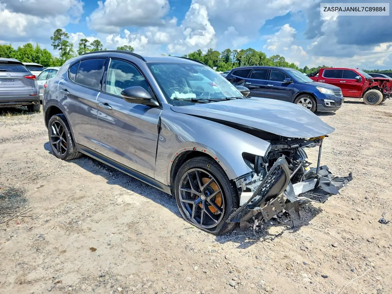 2020 Alfa Romeo Stelvio VIN: ZASPAJAN6L7C89884 Lot: 54873266