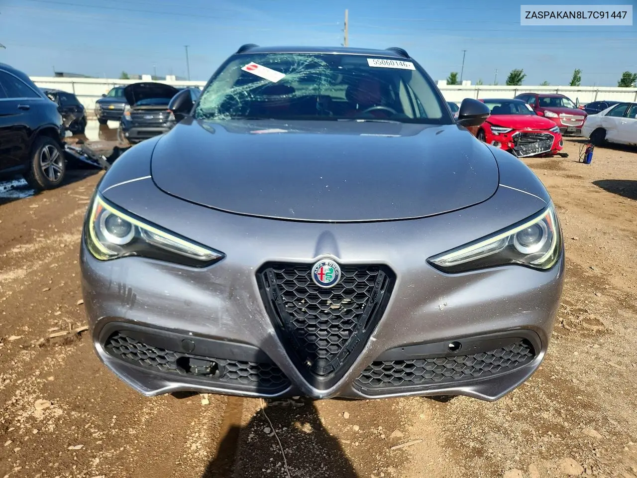 2020 Alfa Romeo Stelvio VIN: ZASPAKAN8L7C91447 Lot: 55060146