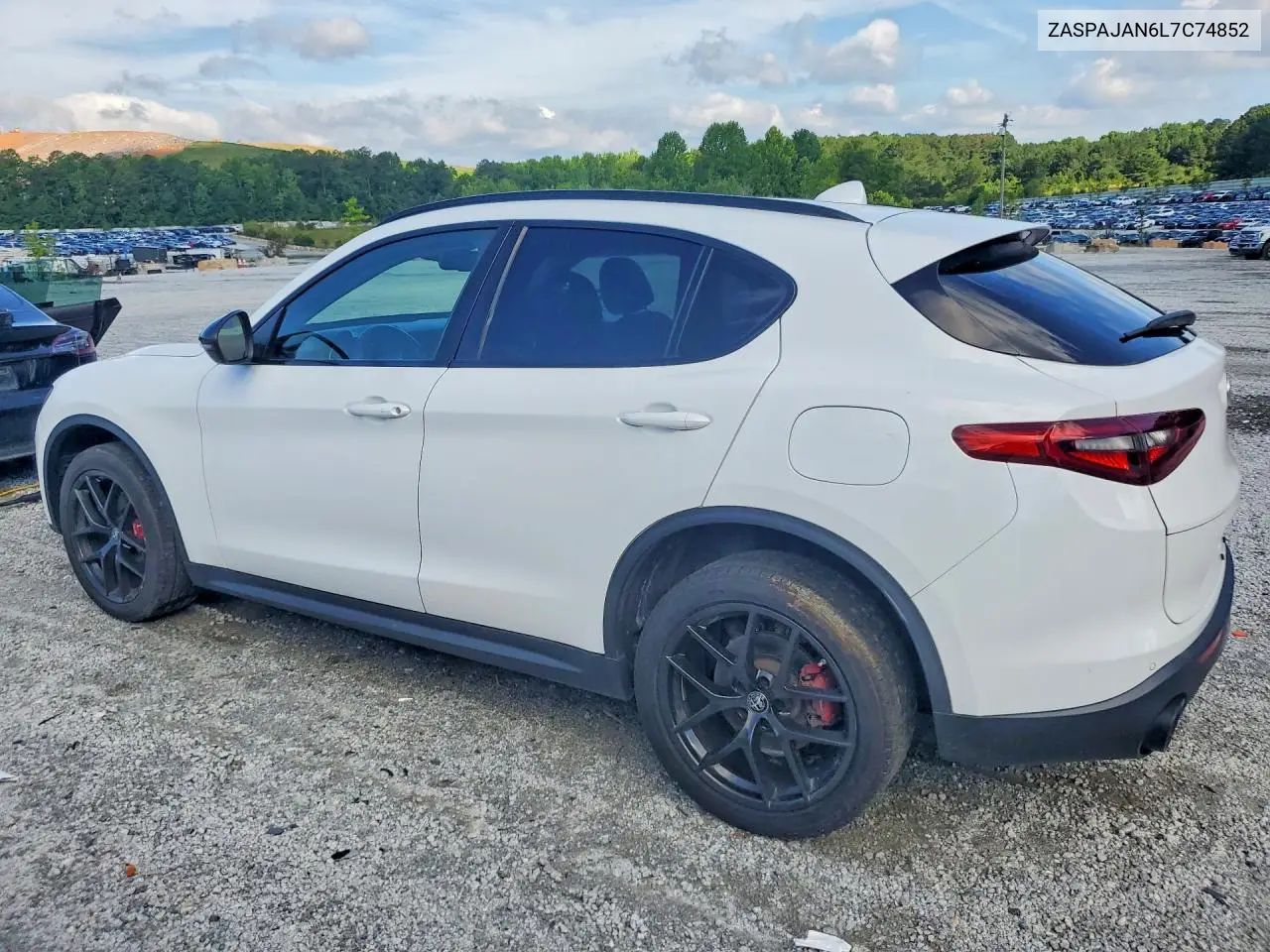 2020 Alfa Romeo Stelvio VIN: ZASPAJAN6L7C74852 Lot: 57392056