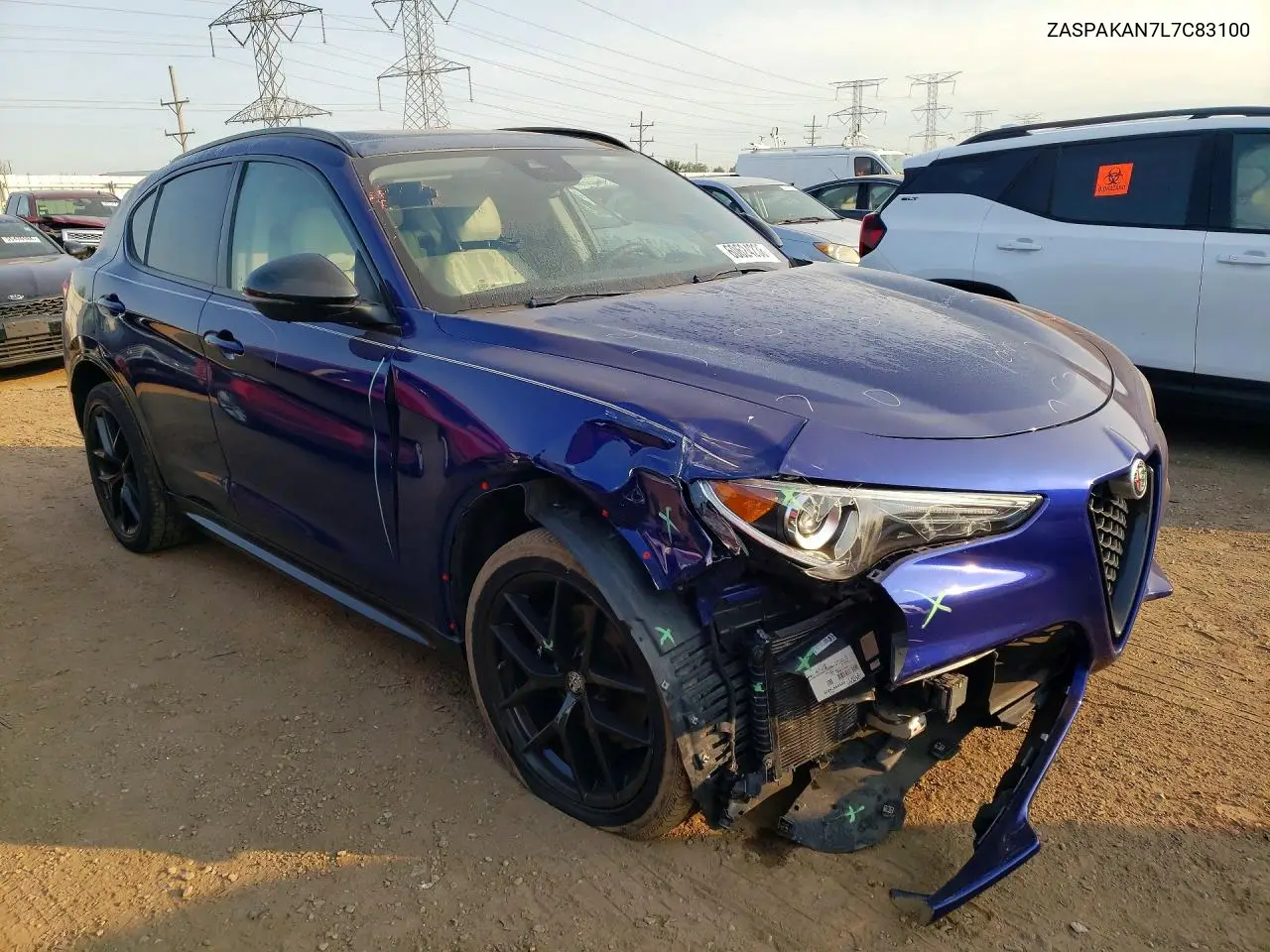 2020 Alfa Romeo Stelvio VIN: ZASPAKAN7L7C83100 Lot: 60624236
