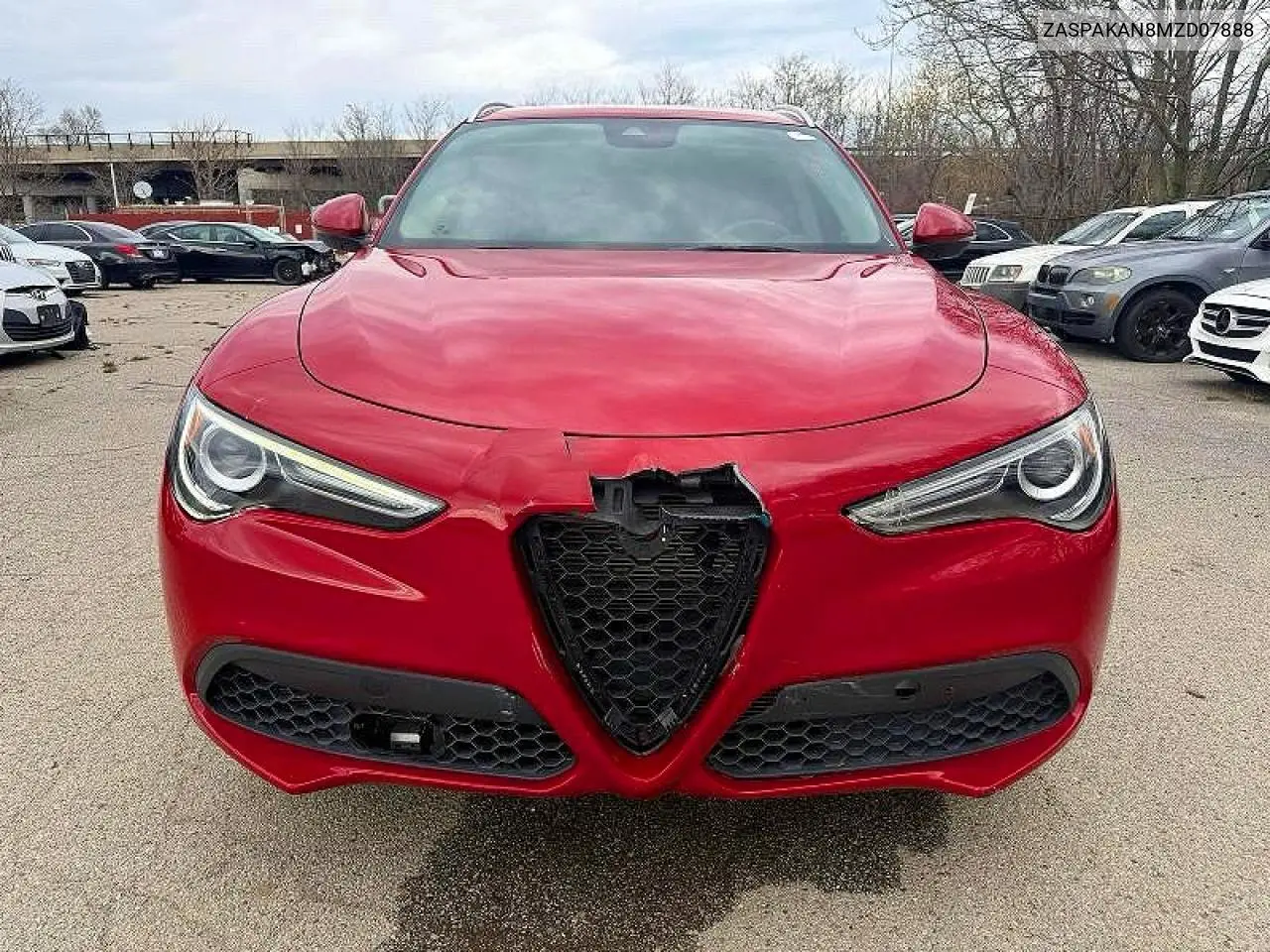 2021 Alfa Romeo Stelvio VIN: ZASPAKAN8MZD07888 Lot: 54277166
