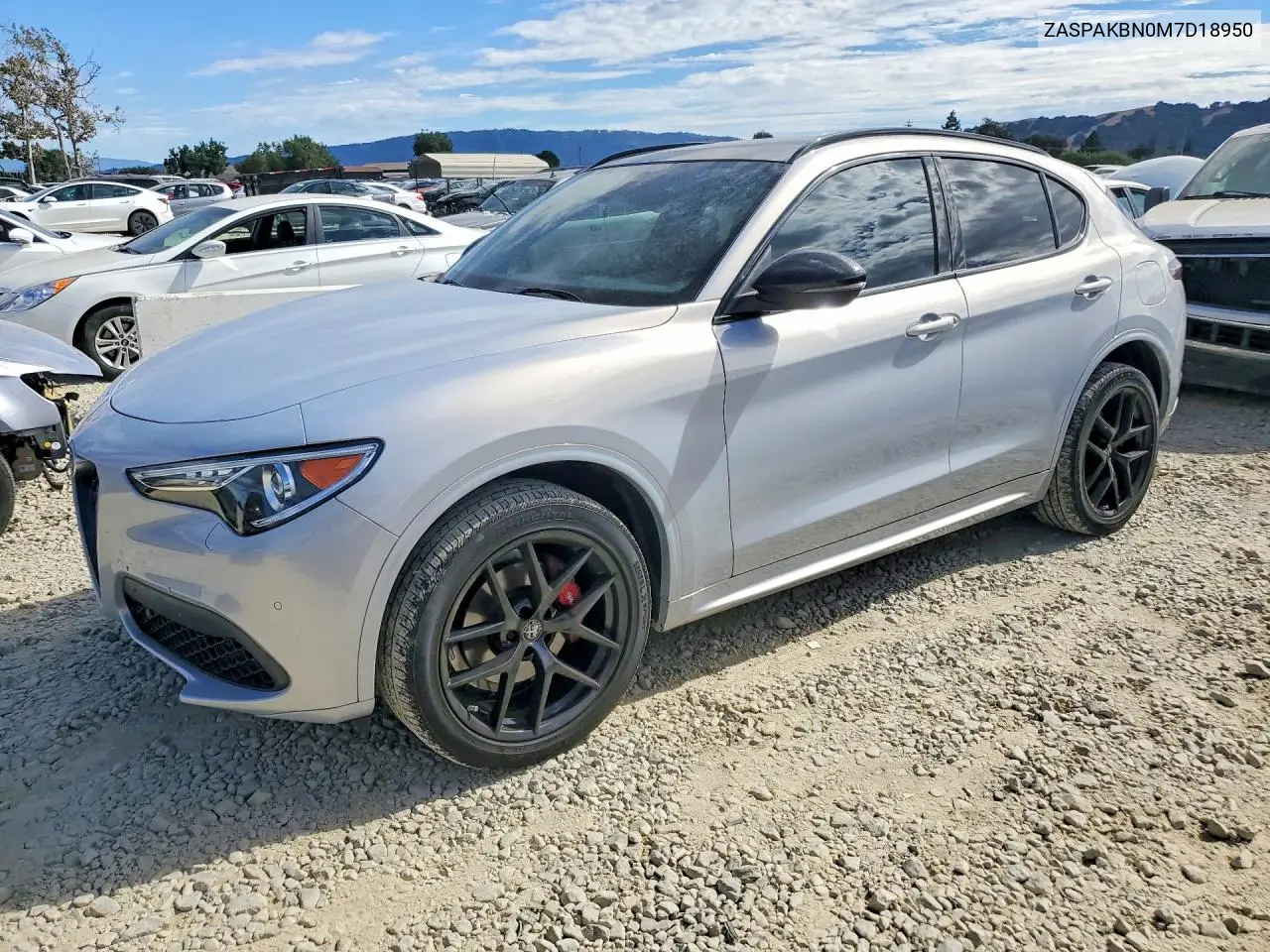 2021 Alfa Romeo Stelvio Ti VIN: ZASPAKBN0M7D18950 Lot: 61555296