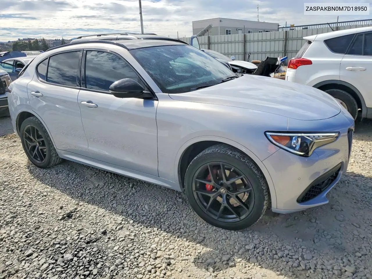 2021 Alfa Romeo Stelvio Ti VIN: ZASPAKBN0M7D18950 Lot: 61555296