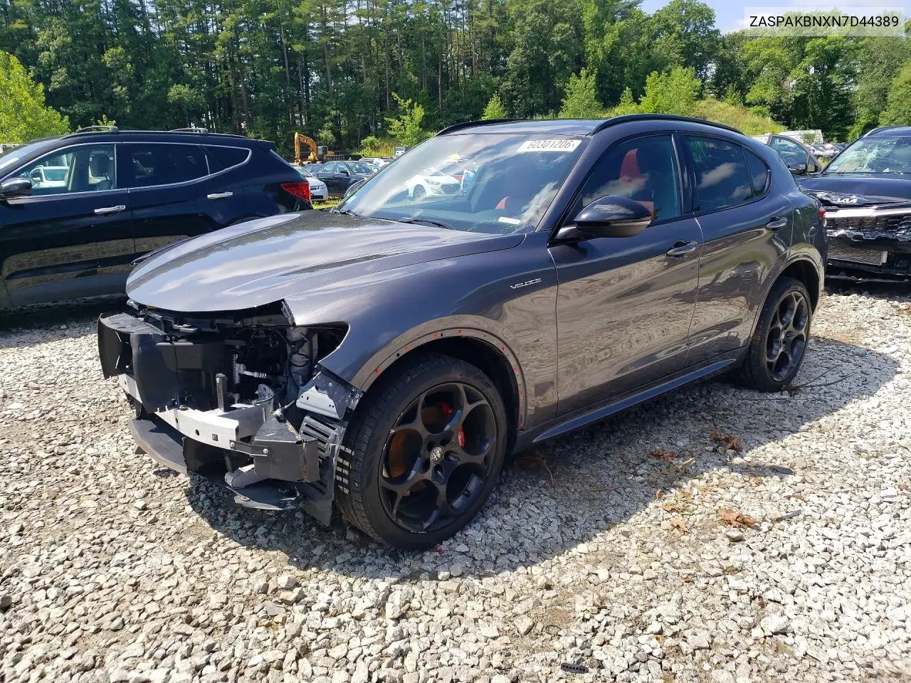 2022 Alfa Romeo Stelvio Ti VIN: ZASPAKBNXN7D44389 Lot: 60301206