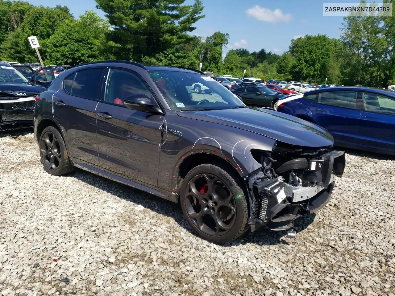 2022 Alfa Romeo Stelvio Ti VIN: ZASPAKBNXN7D44389 Lot: 60301206