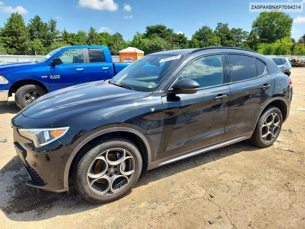 2023 Alfa Romeo Stelvio Ti VIN: ZASPAKBNXP7D54214 Lot: 59376236