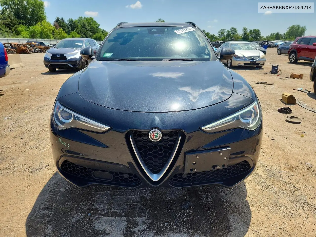 2023 Alfa Romeo Stelvio Ti VIN: ZASPAKBNXP7D54214 Lot: 59376236