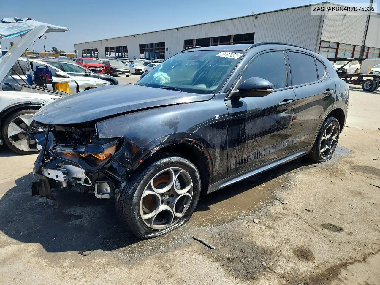 2024 Alfa Romeo Stelvio Ti VIN: ZASPAKBN4R7D75336 Lot: 58955746