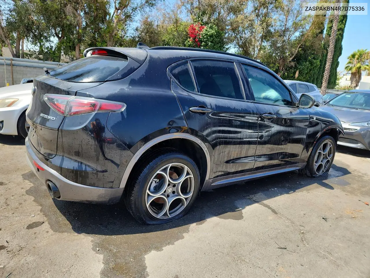 2024 Alfa Romeo Stelvio Ti VIN: ZASPAKBN4R7D75336 Lot: 58955746