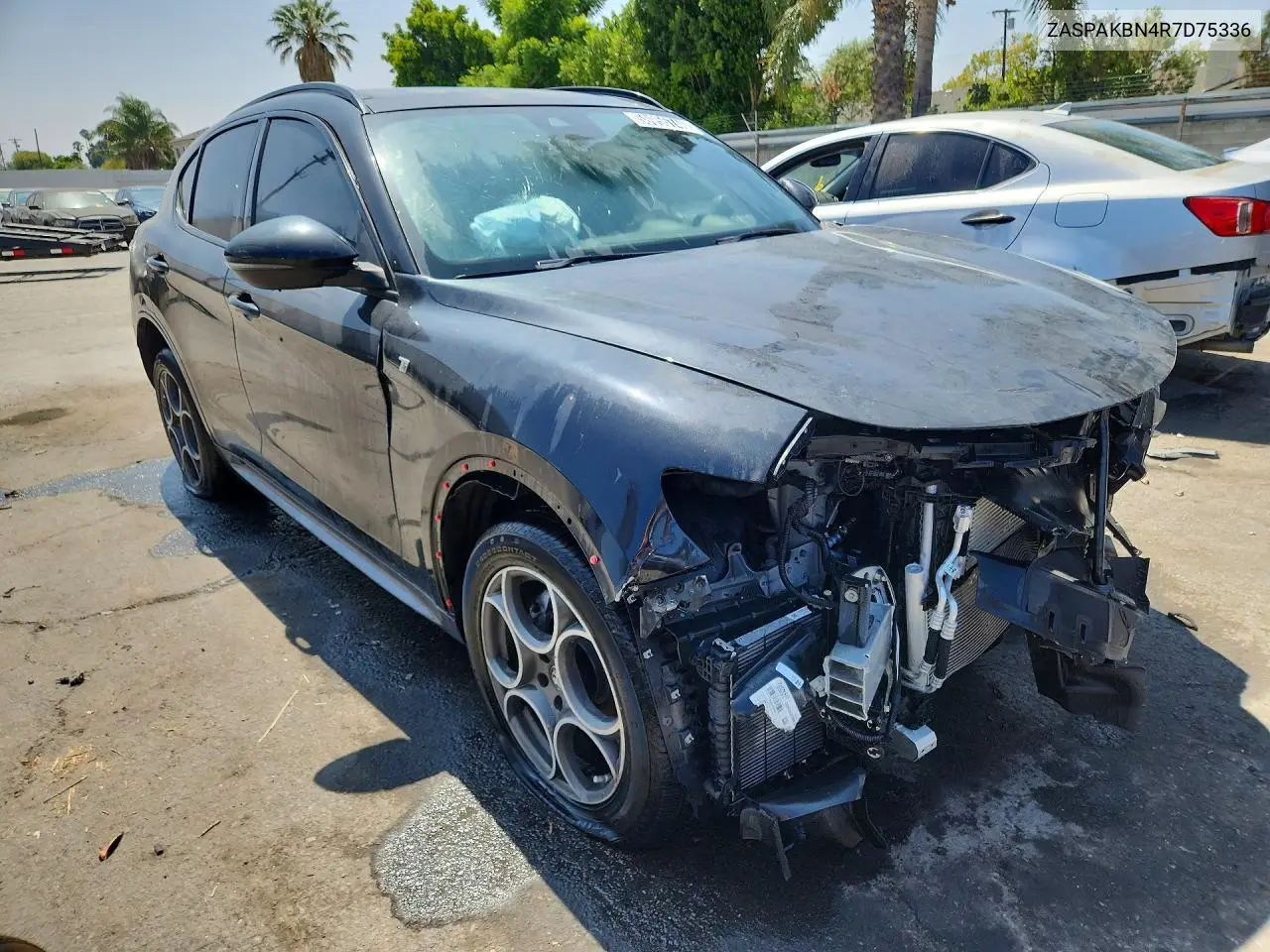 2024 Alfa Romeo Stelvio Ti VIN: ZASPAKBN4R7D75336 Lot: 58955746