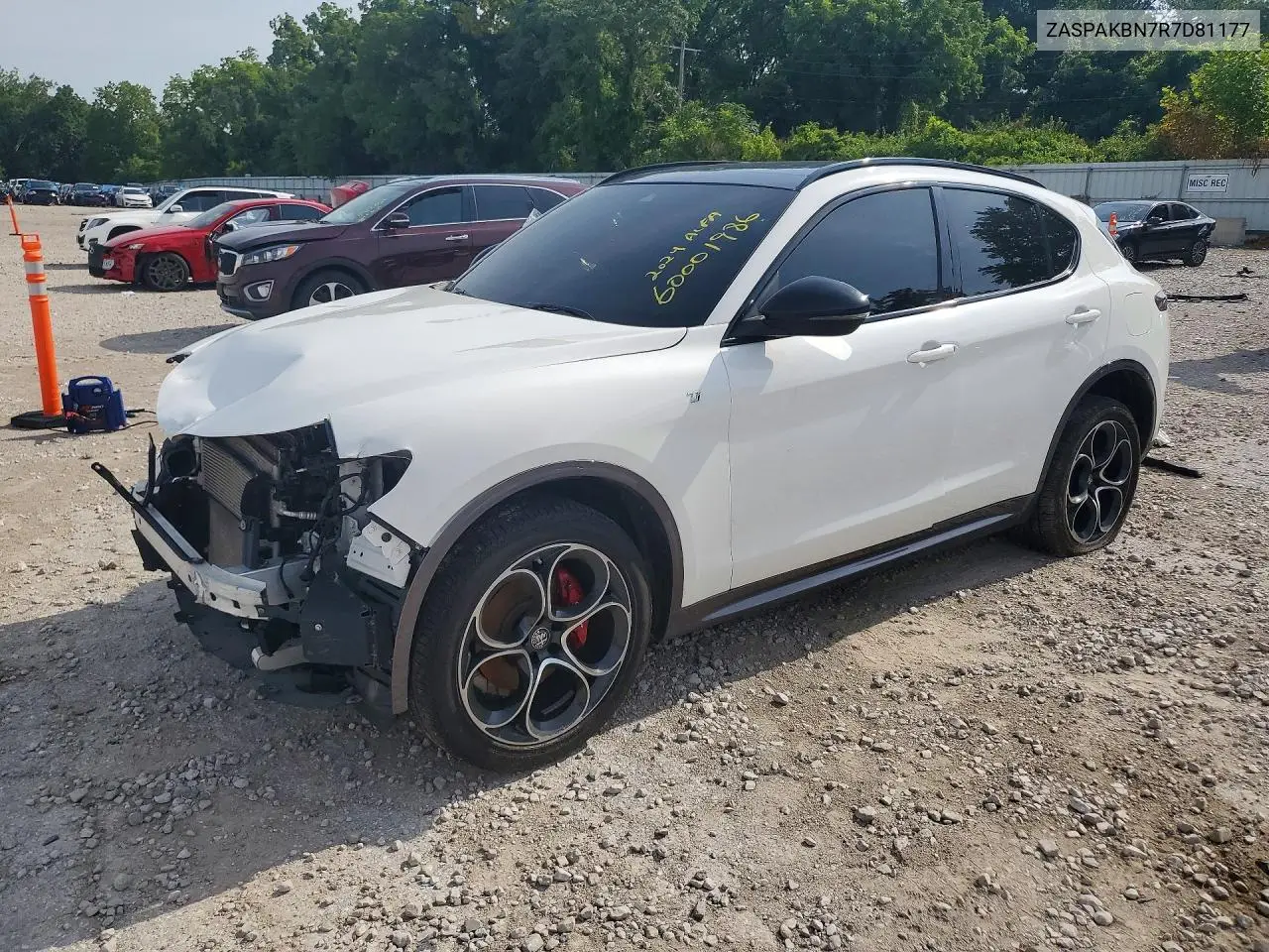 2024 Alfa Romeo Stelvio Ti VIN: ZASPAKBN7R7D81177 Lot: 60001986