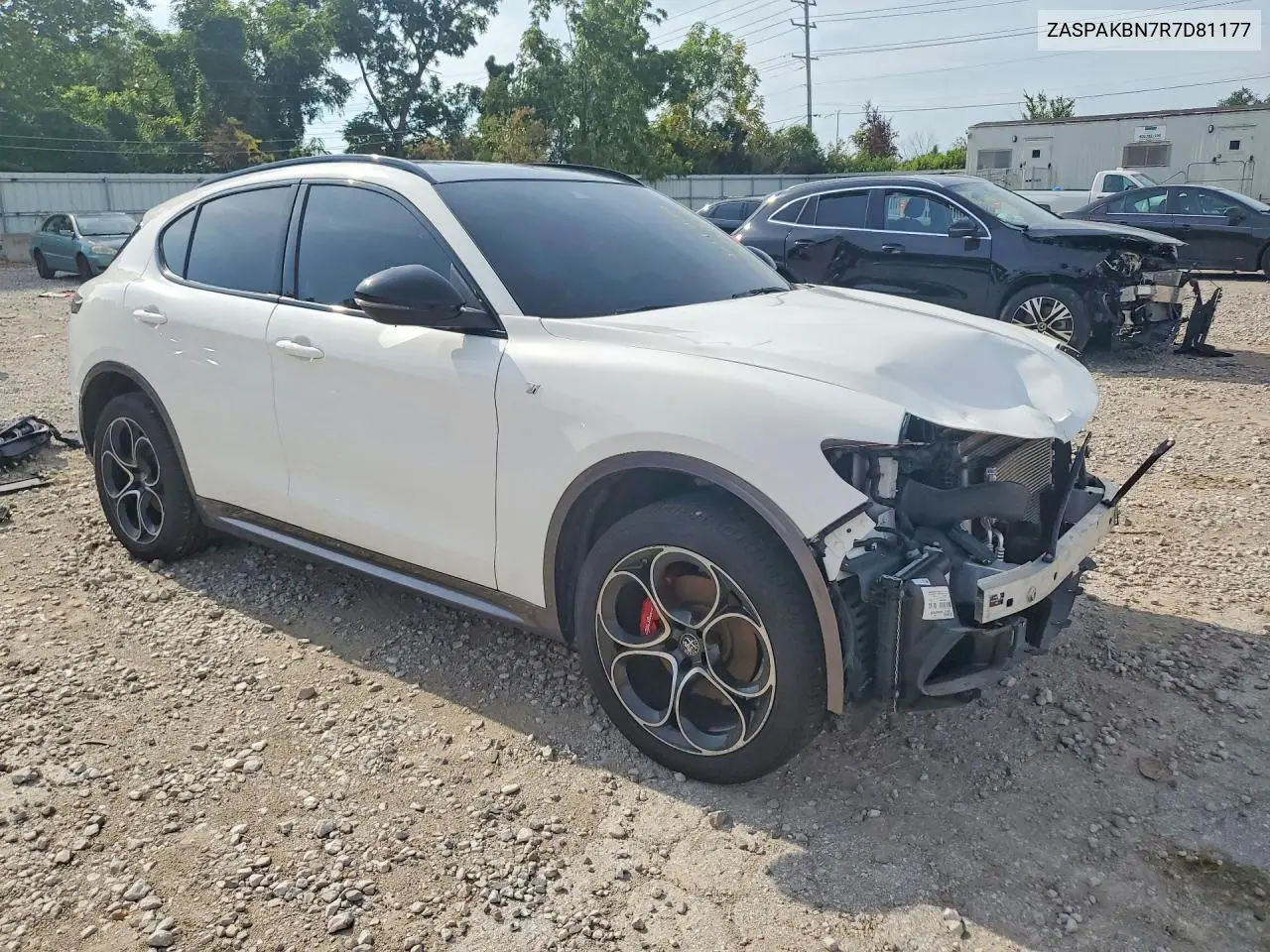 2024 Alfa Romeo Stelvio Ti VIN: ZASPAKBN7R7D81177 Lot: 60001986