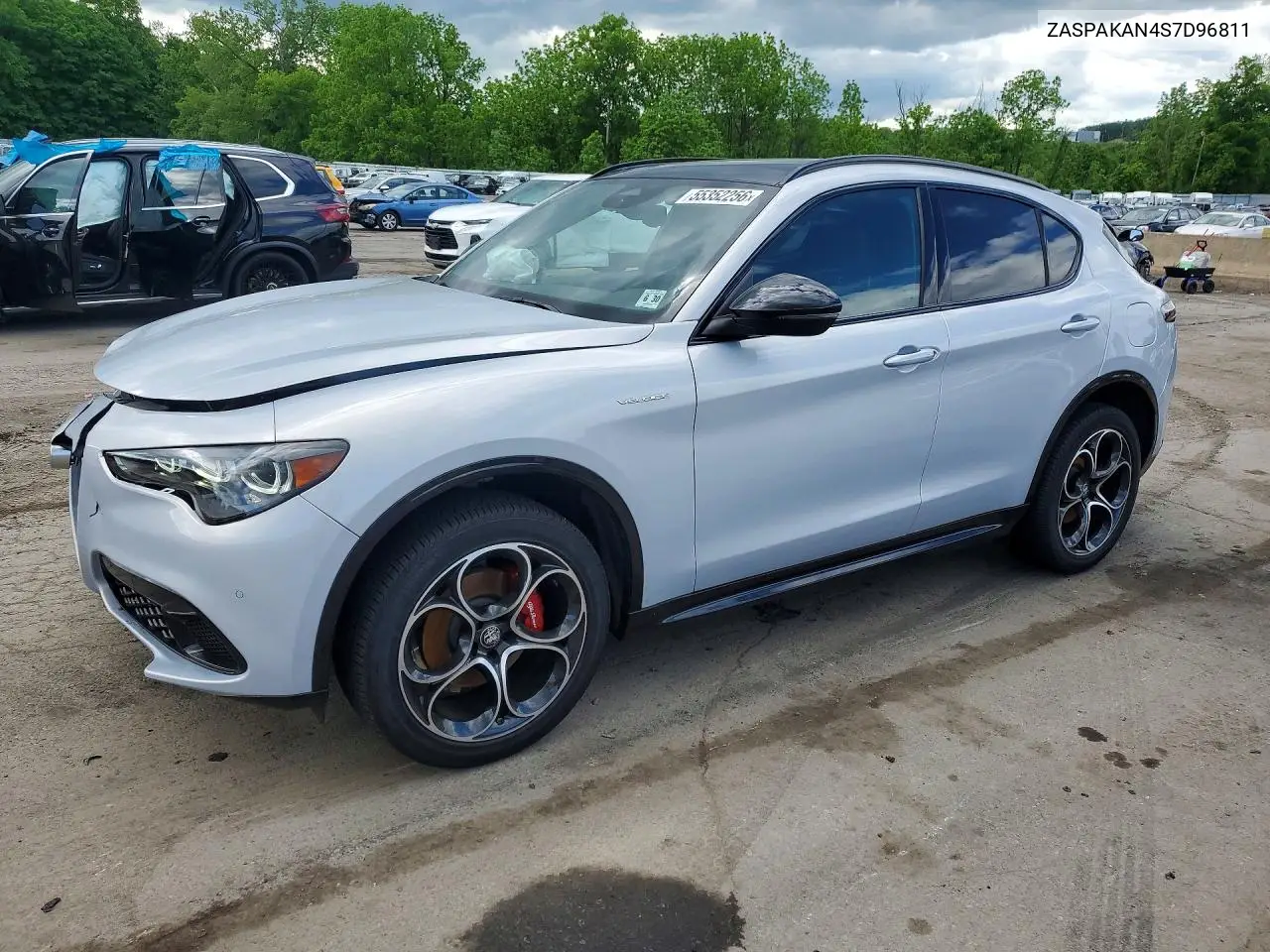 2025 Alfa Romeo Stelvio Base VIN: ZASPAKAN4S7D96811 Lot: 55352256