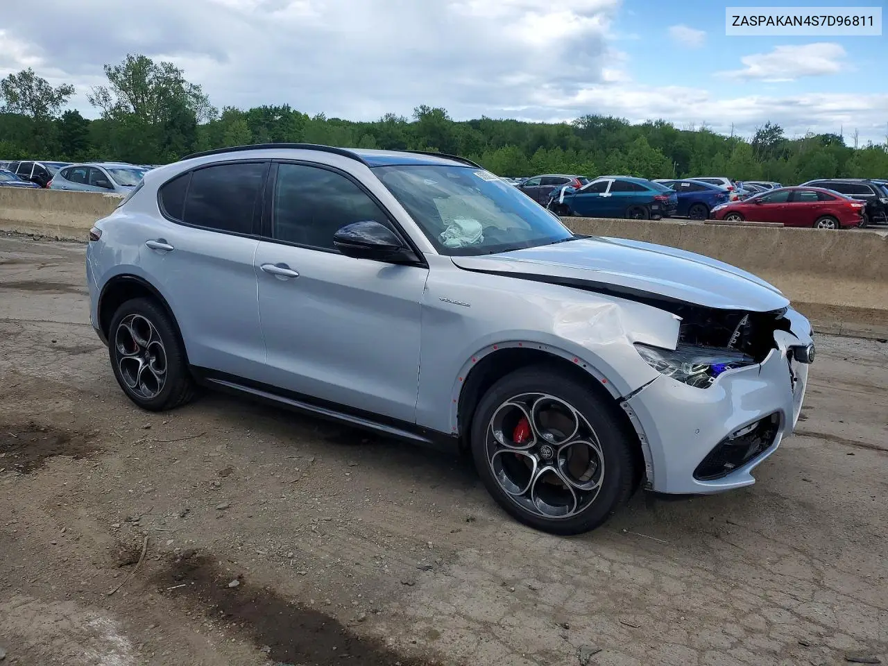2025 Alfa Romeo Stelvio Base VIN: ZASPAKAN4S7D96811 Lot: 55352256