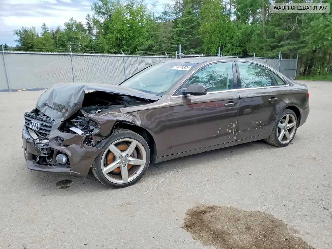 2011 Audi A4 Premium Plus VIN: WAUFFCFL2BA101997 Lot: 58024576