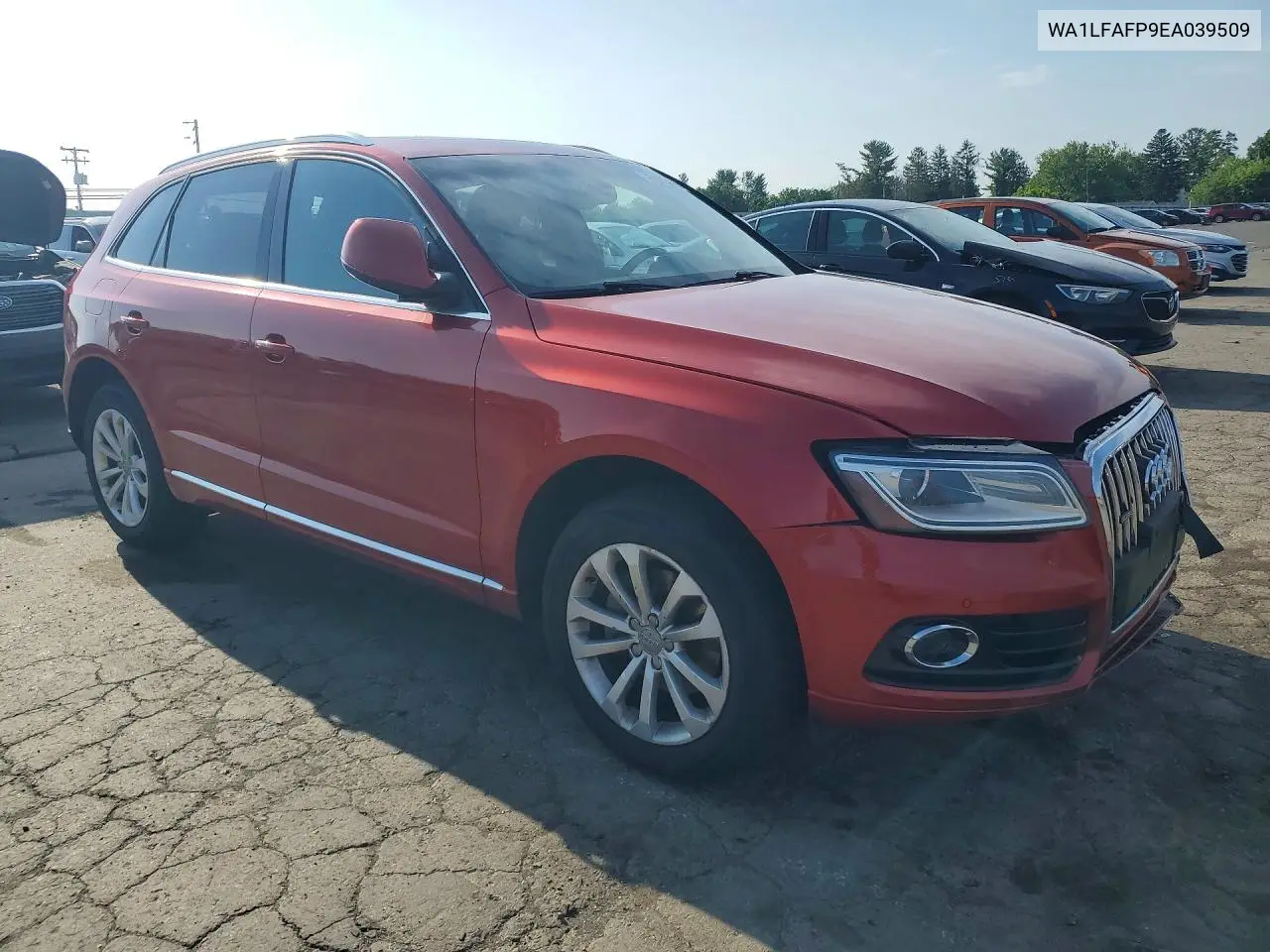 2014 Audi Q5 Premium Plus VIN: WA1LFAFP9EA039509 Lot: 56714746