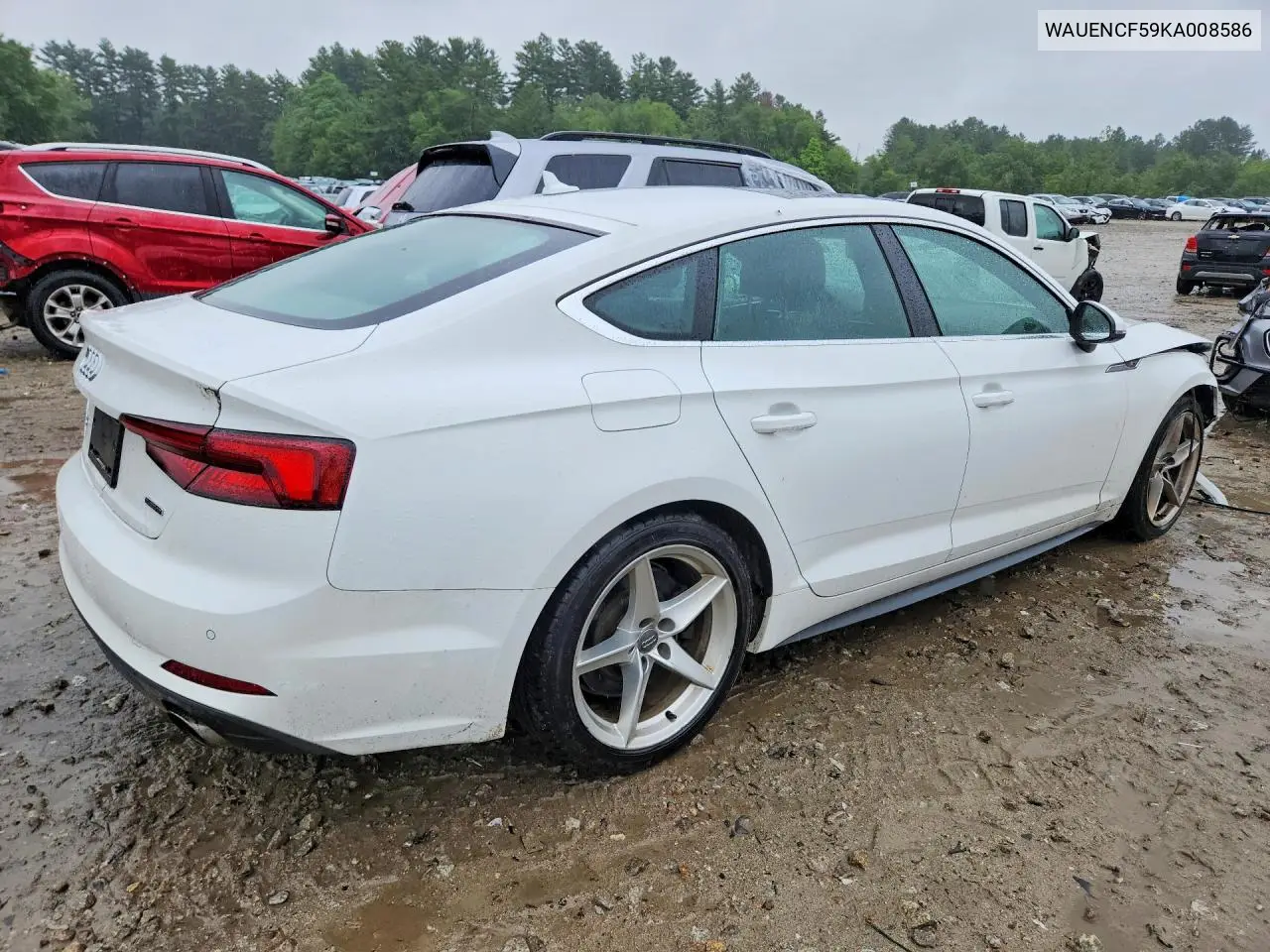 2019 Audi A5 Premium Plus S-Line VIN: WAUENCF59KA008586 Lot: 60036866