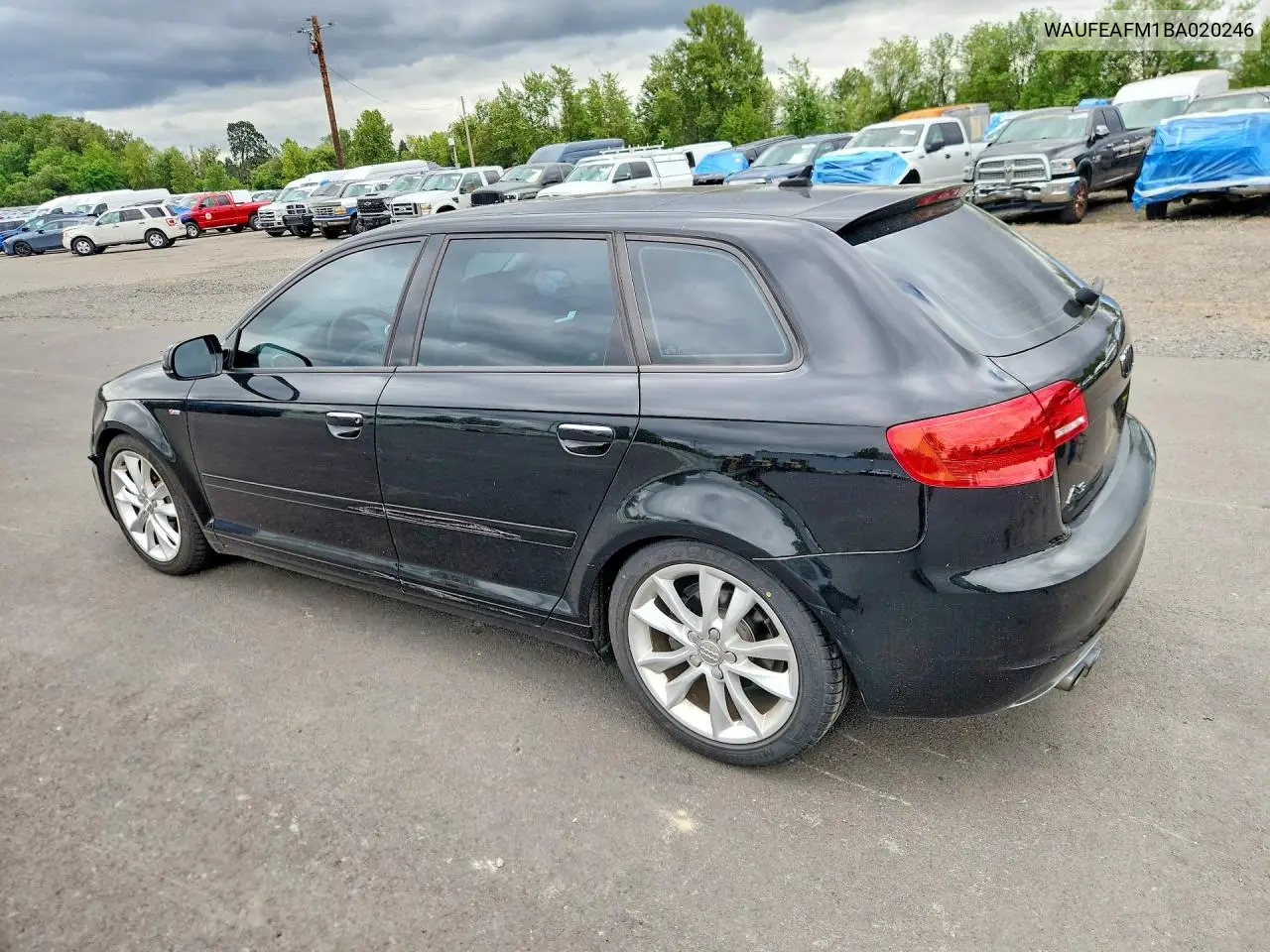2011 Audi A3 Premium VIN: WAUFEAFM1BA020246 Lot: 59551916