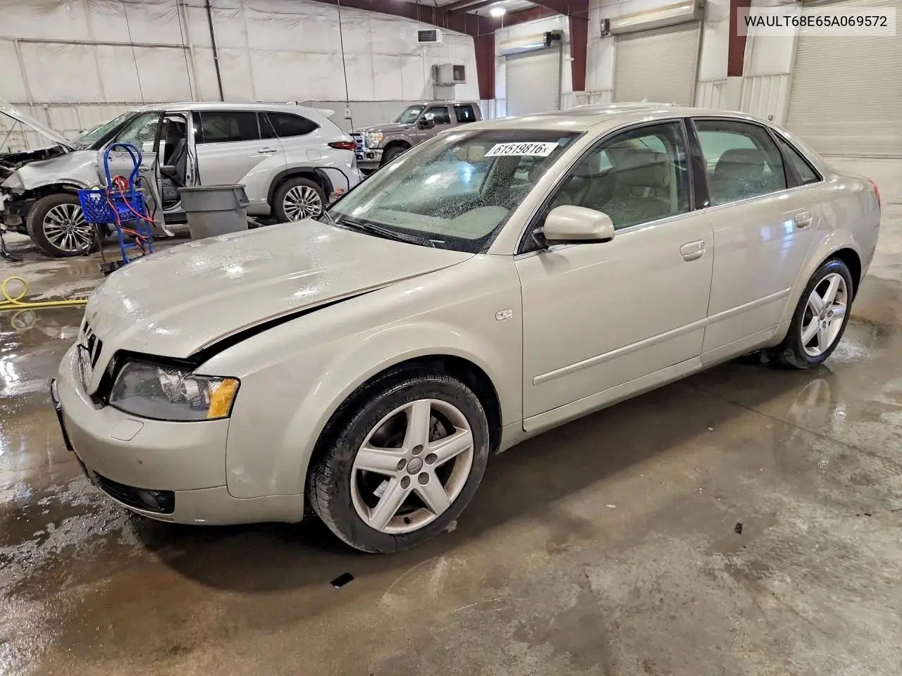 2005 Audi A4 3.0 Quattro VIN: WAULT68E65A069572 Lot: 61519816