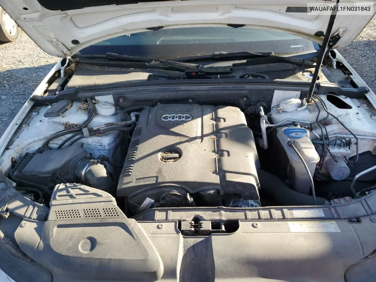 WAUAFAFL1FN031843 2015 Audi A4