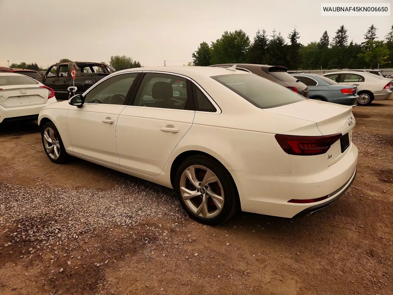 2019 Audi A4 Progressiv VIN: WAUBNAF45KN006650 Lot: 57331676