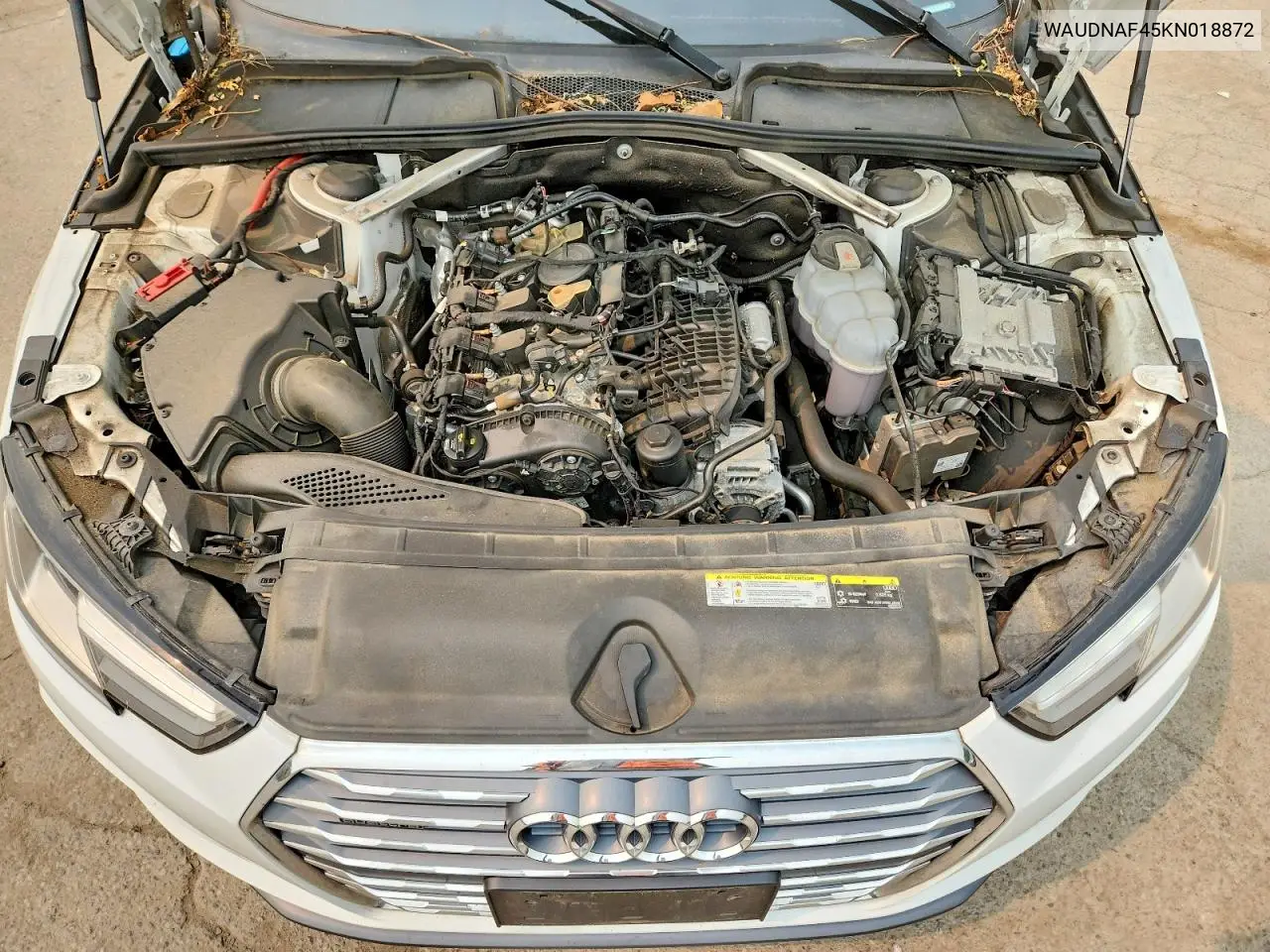 2019 Audi A4 Premium VIN: WAUDNAF45KN018872 Lot: 61043486