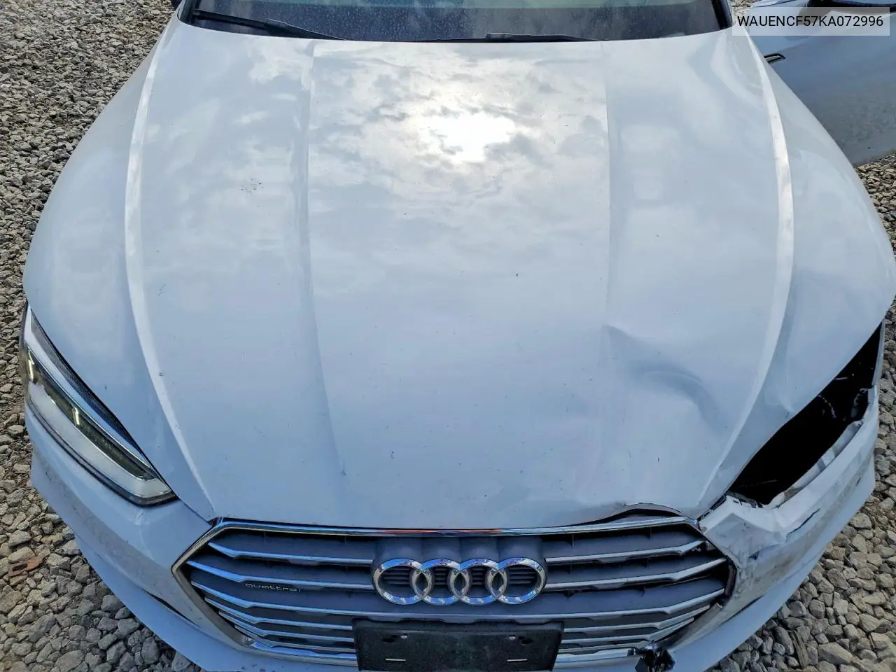 2019 Audi A5 Premium Plus S-Line VIN: WAUENCF57KA072996 Lot: 57493316