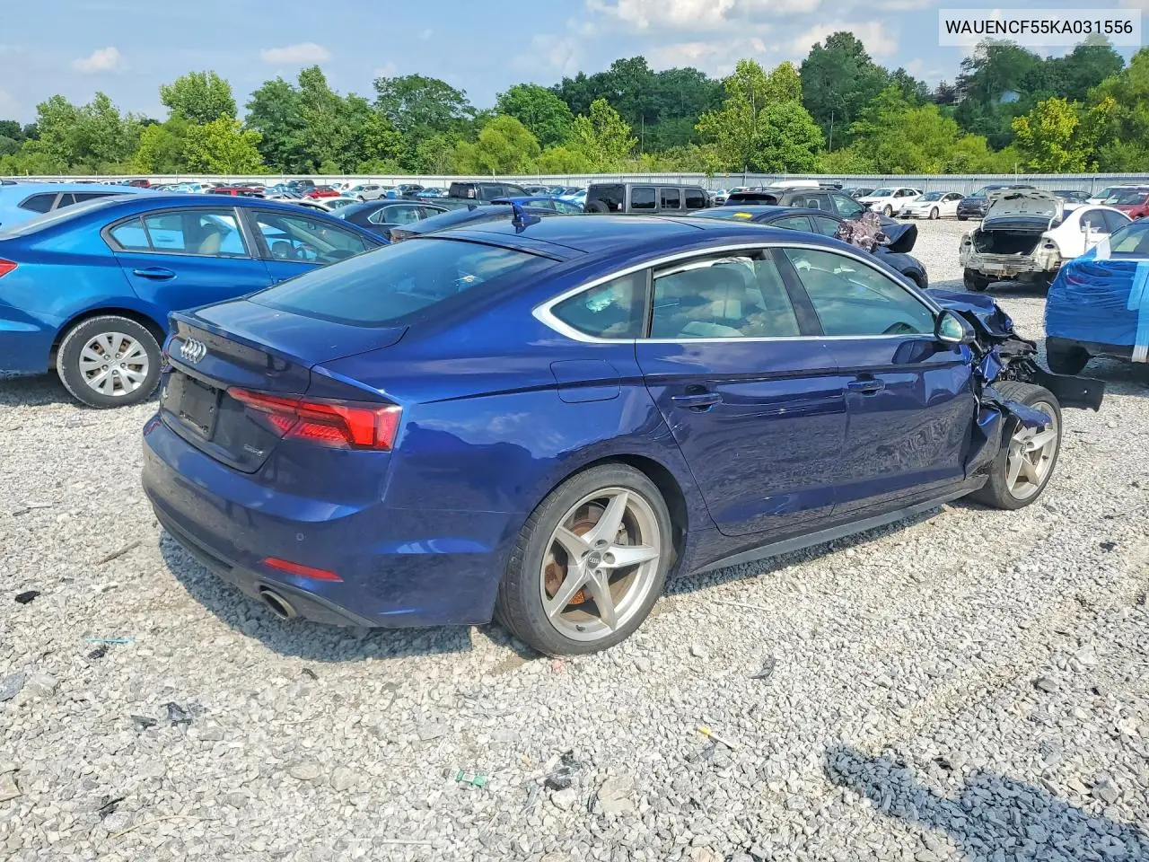 2019 Audi A5 Premium Plus S-Line VIN: WAUENCF55KA031556 Lot: 60395496