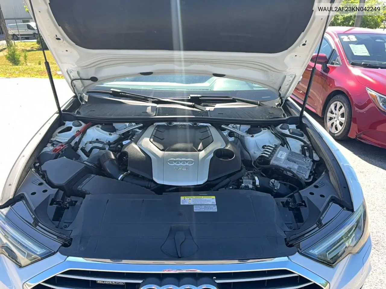 V (C8)