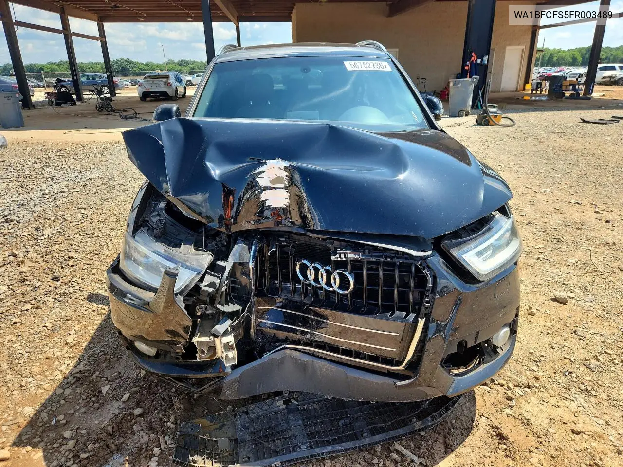 2015 Audi Q3 Premium Plus VIN: WA1BFCFS5FR003489 Lot: 56762736