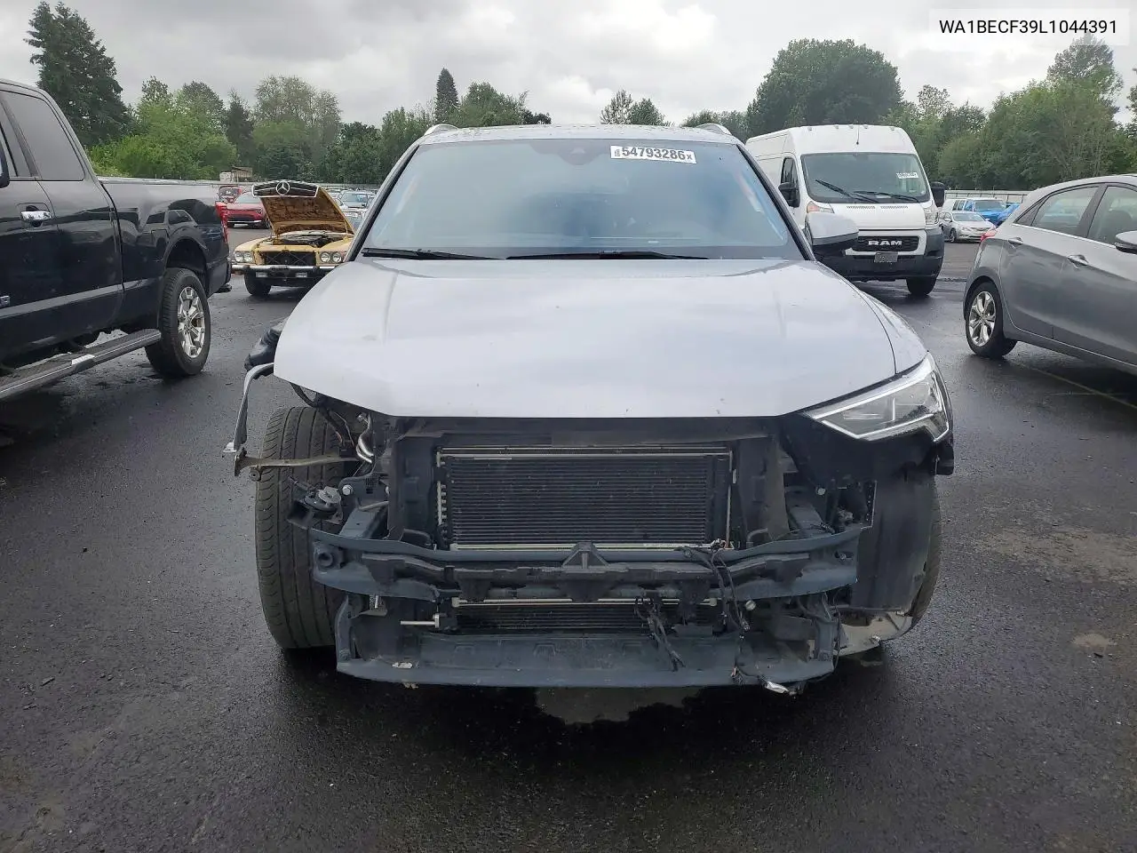 2020 Audi Q3 Premium Plus VIN: WA1BECF39L1044391 Lot: 54793286
