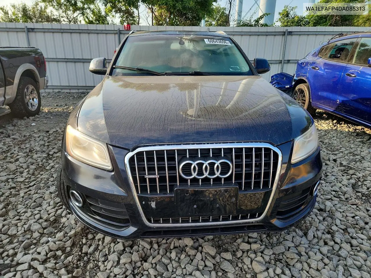 2013 Audi Q5 Premium Plus VIN: WA1LFAFP4DA085313 Lot: 60643696