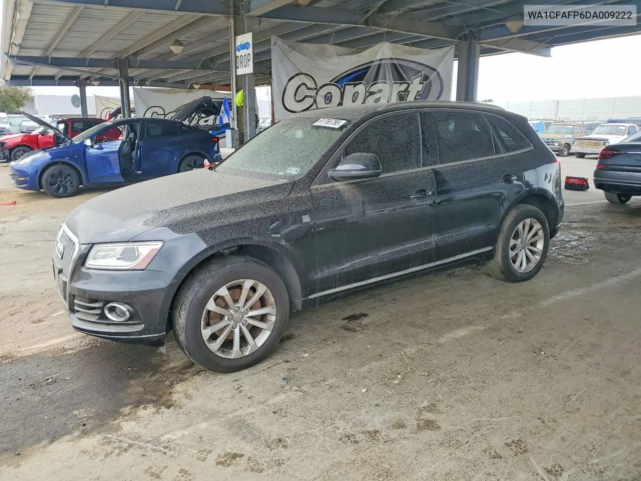 2013 Audi Q5 Premium VIN: WA1CFAFP6DA009222 Lot: 61786786