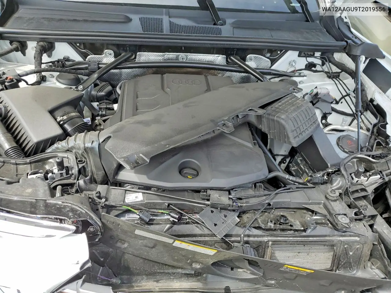 2026 Audi Q5 Premium Plus VIN: WA12AAGU9T2019556 Lot: 60334136