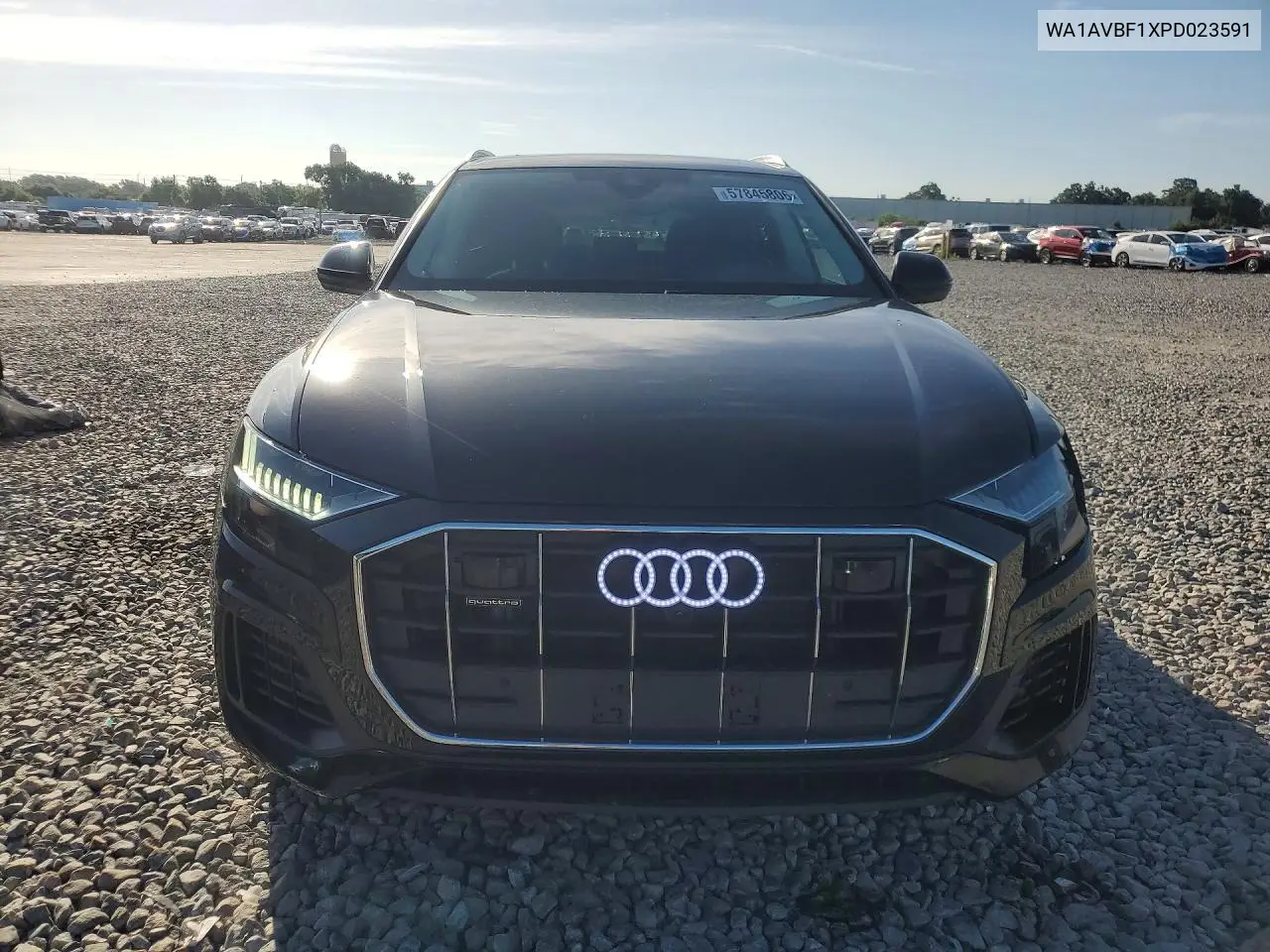 2023 Audi Q8 Premium VIN: WA1AVBF1XPD023591 Lot: 57845806