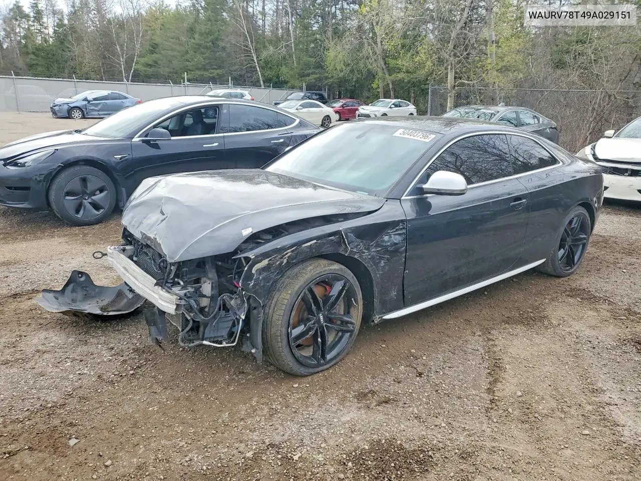 2009 Audi S5 Quattro VIN: WAURV78T49A029151 Lot: 50403796