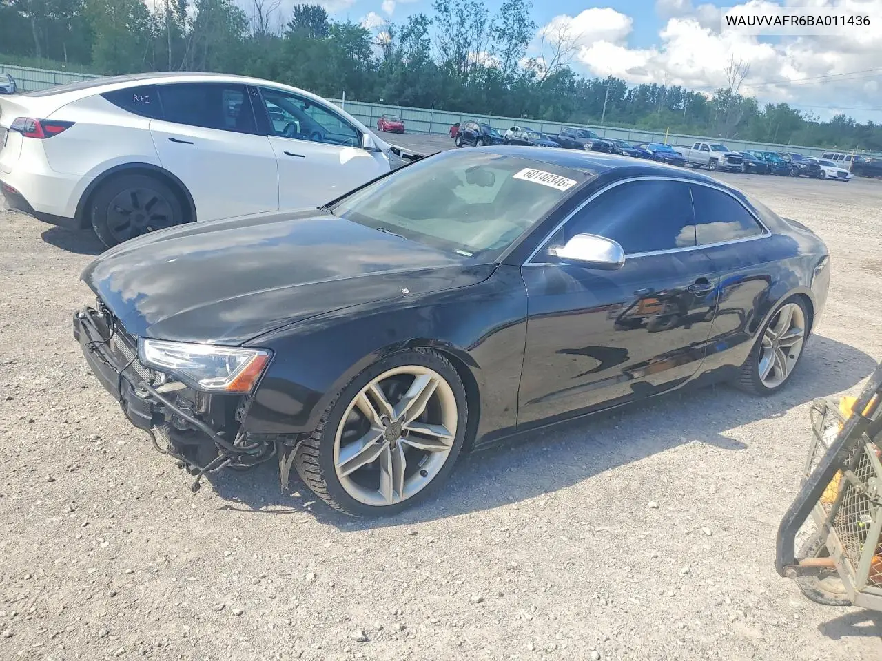 2011 Audi S5 Prestige VIN: WAUVVAFR6BA011436 Lot: 60140346