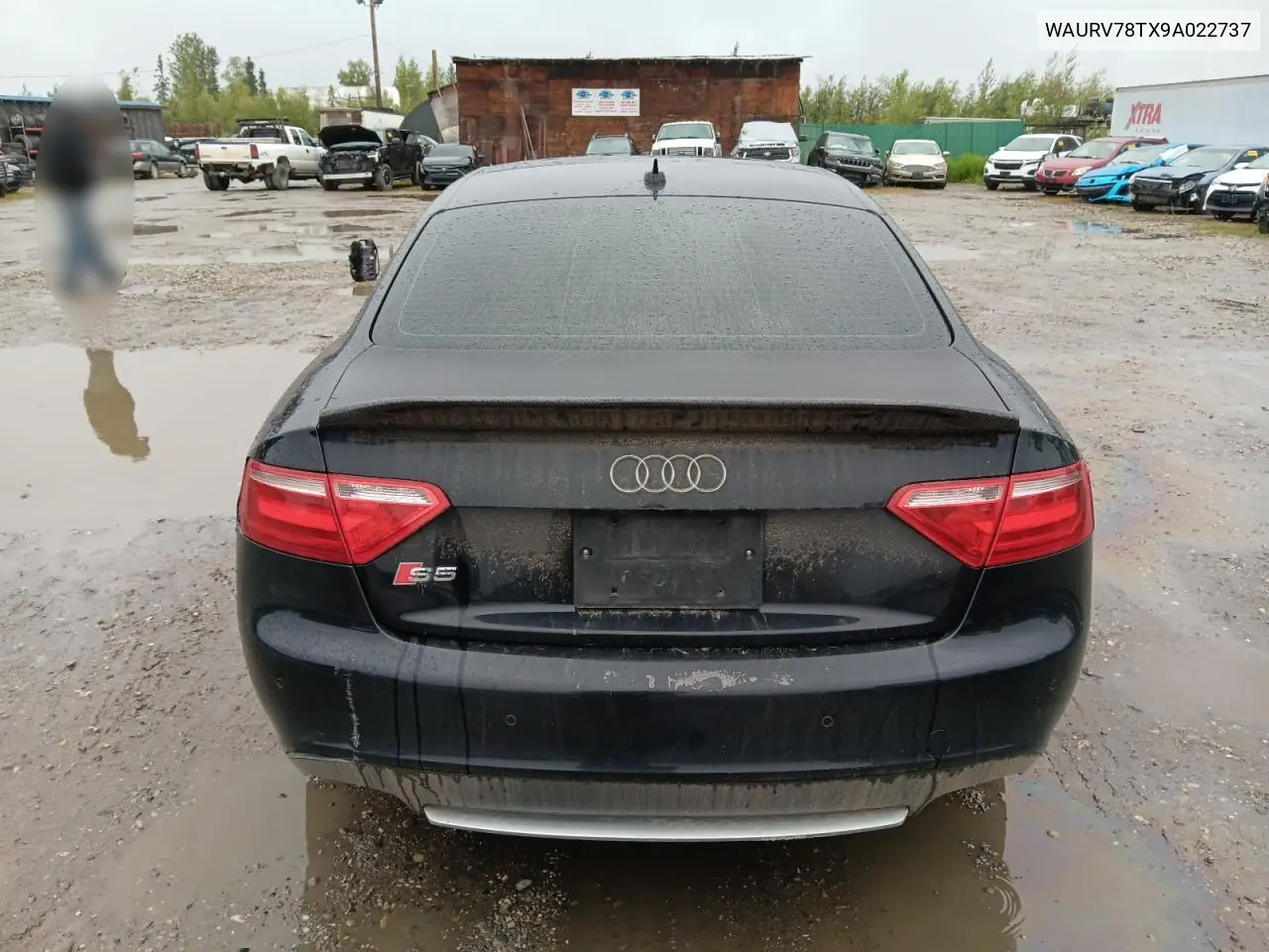 2009 Audi S5 Quattro VIN: WAURV78TX9A022737 Lot: 66782555