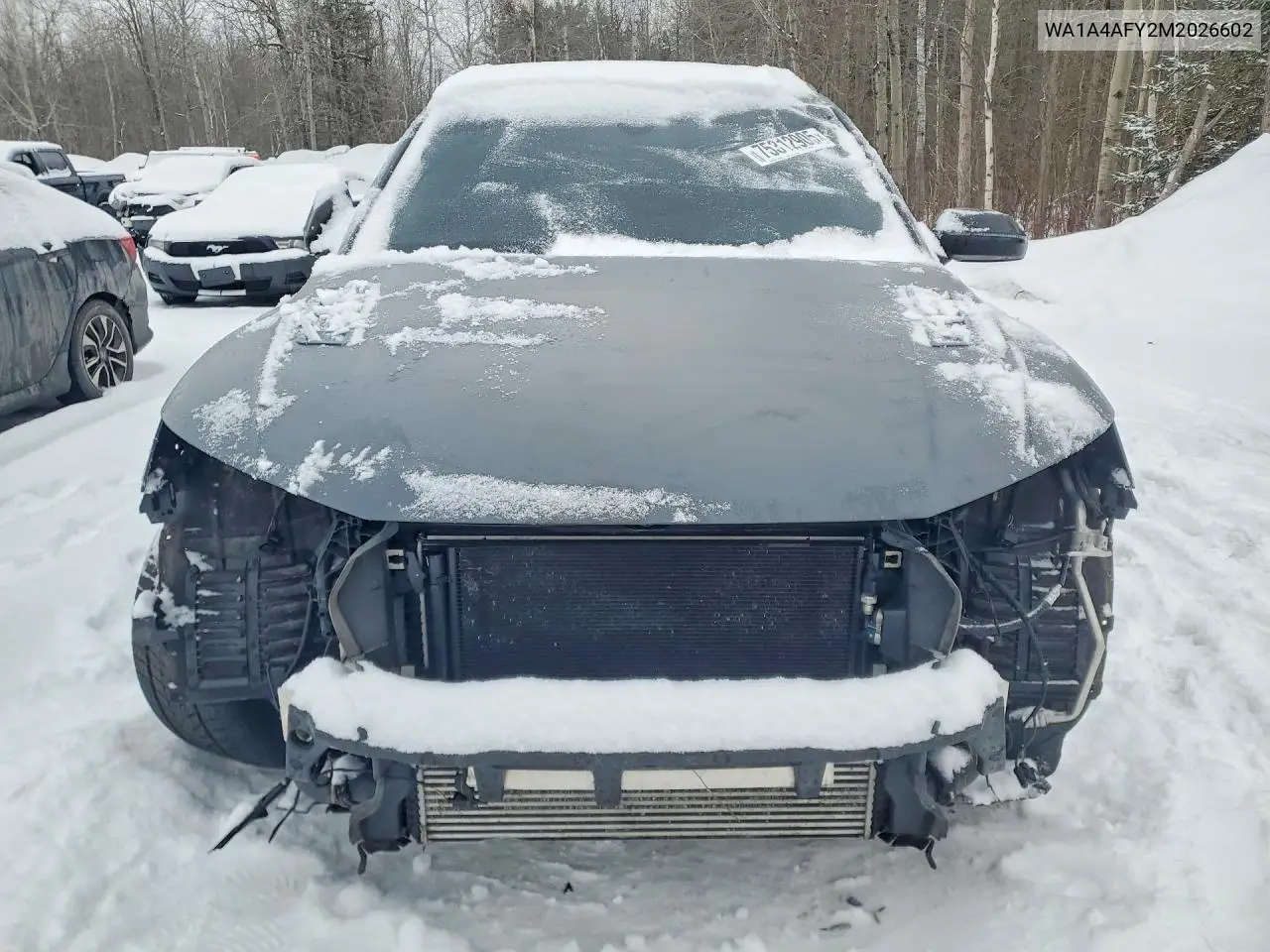 2021 Audi Sq5 Premium VIN: WA1A4AFY2M2026602 Lot: 75312905