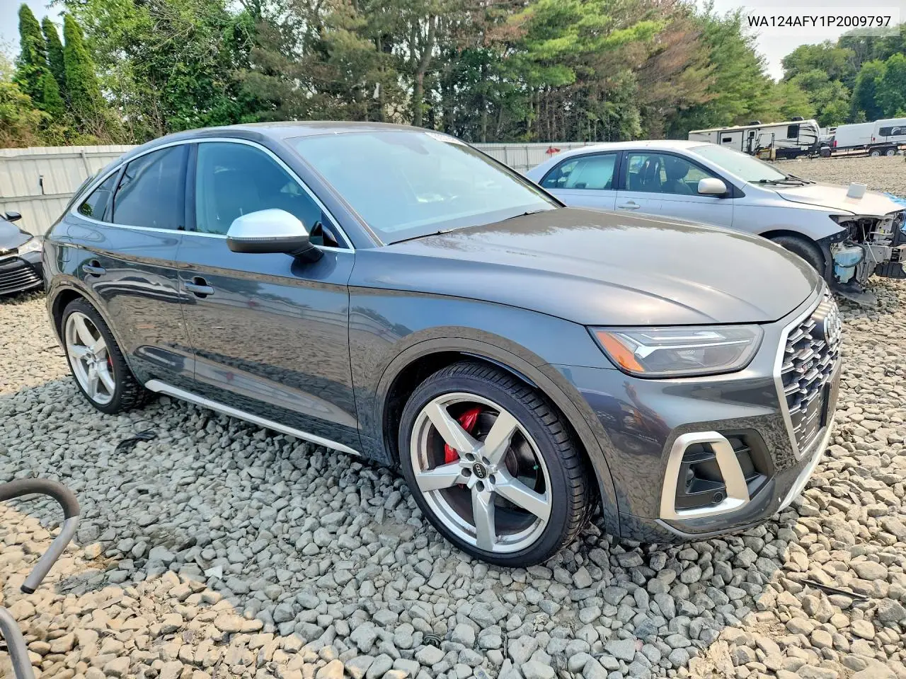 2023 Audi Sq5 Sportback Premium Plus VIN: WA124AFY1P2009797 Lot: 60572486
